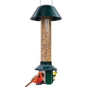 PestOff Squirrel Proof Wild Bird Feeder Mixed Seed Sunflower Heart Version